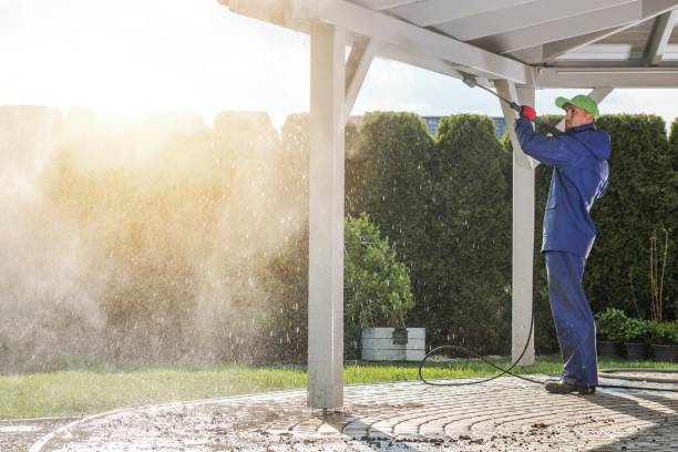 Best Graffiti Removal  in Bertsch Oceanview, CA