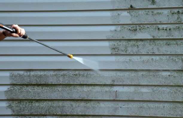 Best Sidewalk and Walkway Cleaning  in Bertsch Oceanview, CA