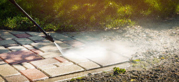 Best Pre-Holiday Cleaning  in Bertsch Oceanview, CA