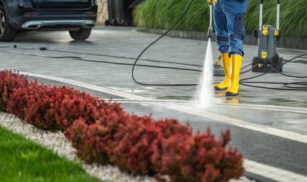 Best Animal Enclosure Cleaning  in Bertsch Oceanview, CA